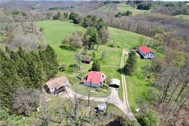 Opportunity meets legacy on this exceptional 113-acre property - photo 6