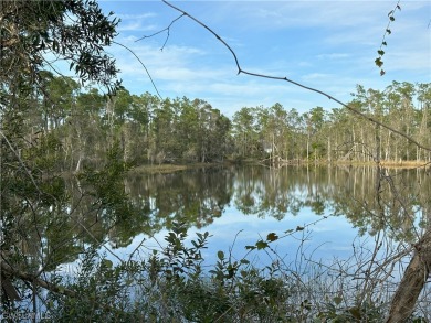 (private lake, pond, creek) Lot For Sale in Punta Gorda Florida