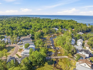 Nestled in the magical bayou-front Sacred Oaks community with - photo 6
