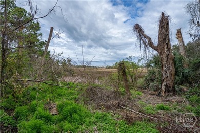 A rare find in the highly desirable Spanish Wells area of Hilton - photo 20