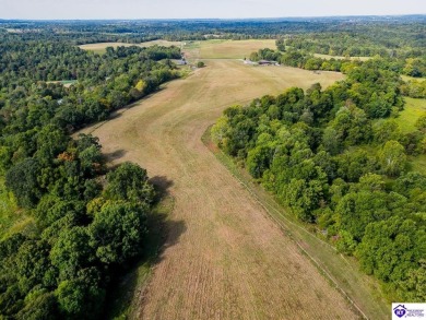 Lake Acreage For Sale in Hudson, Kentucky