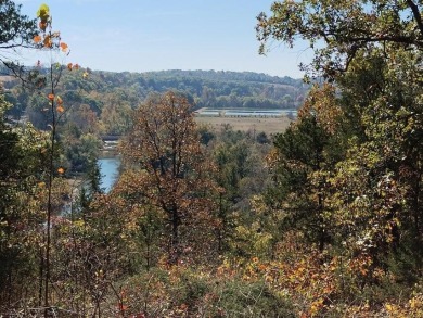 (private lake, pond, creek) Acreage For Sale in Hartville Missouri