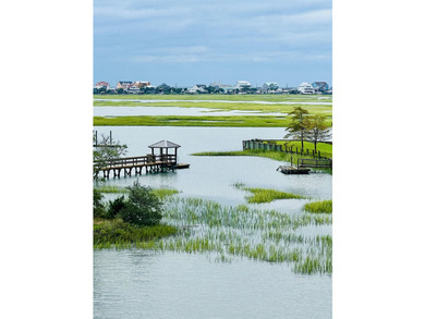 Paradise on the Inlet!! Masterful design and modern luxury are - photo 33