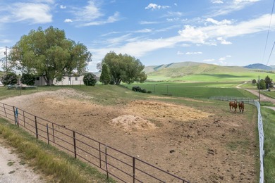 21.11 Fully Fenced Acres on Wood Canyon Road, just feet from