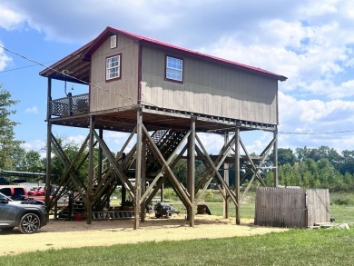 (private lake, pond, creek) Home For Sale in Savannah Tennessee