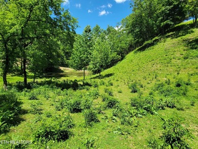 (private lake, pond, creek) Acreage For Sale in Rogersville Tennessee