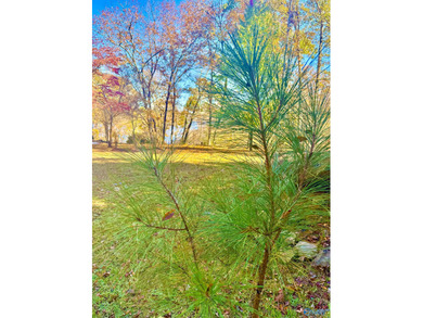 Lewis Smith Lake Lot For Sale in Bremen AL