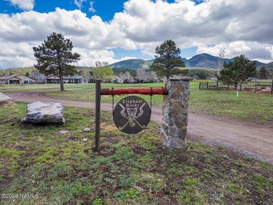 Build your dream home on this exceptional golf course corner lot - photo 10