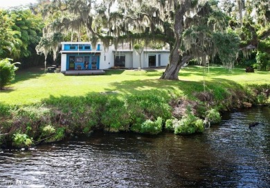 Lake Home For Sale in Fort Denaud, Florida