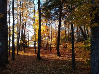 North Twin Lake Lot For Sale in Phelps Wisconsin