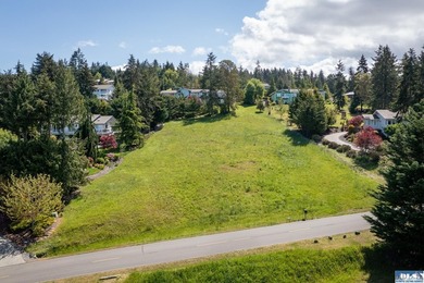 Prime one-acre lot in Sequim with stunning water views - photo 15