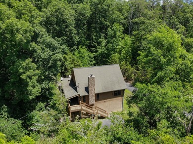 Want the Lake Life? This is it! This 2 bedroom, 2 bath cabin is - photo 26