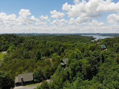 Want the Lake Life? This is it! This 2 bedroom, 2 bath cabin is - photo 28