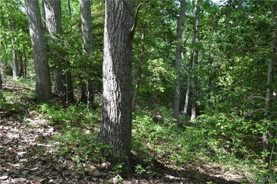 Great Wicomico River Acreage For Sale in Heathsville Virginia