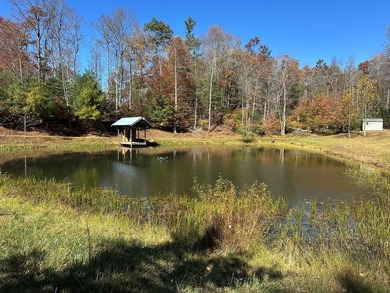 Lake Home For Sale in Galax, Virginia