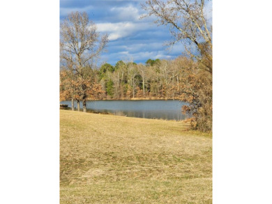 Lake Lot For Sale in Mount Pleasant, Texas