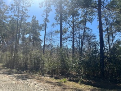 Lake Lot For Sale in Brookeland, Texas