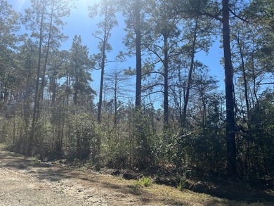 Lake Sam Rayburn  Lot For Sale in Brookeland Texas