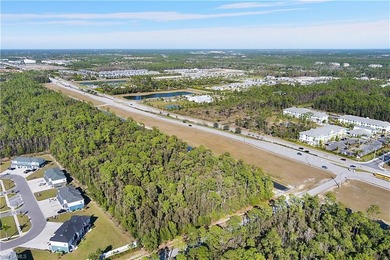 Prime development opportunity in rapidly growing Naples on 5 - photo 2