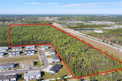 Prime development opportunity in rapidly growing Naples on 5 - photo 3