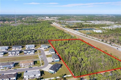 Prime development opportunity in rapidly growing Naples on 5 - photo 4