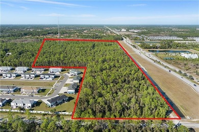 Prime development opportunity in rapidly growing Naples on 5 - photo 5
