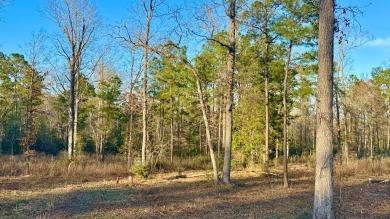 Lake Acreage For Sale in Hemphill, Texas