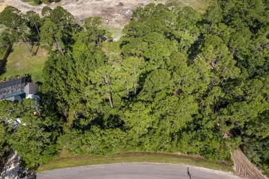 Discover the perfect opportunity to build in the sought-after - photo 3