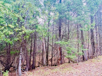 Rare opportunity on the shores of Lake St. Croix, offering the - photo 16