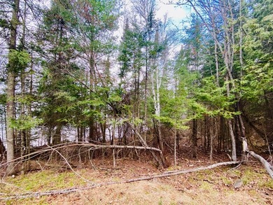 Rare opportunity on the shores of Lake St. Croix, offering the - photo 17