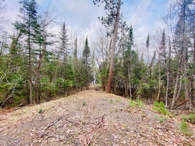 Rare opportunity on the shores of Lake St. Croix, offering the - photo 20