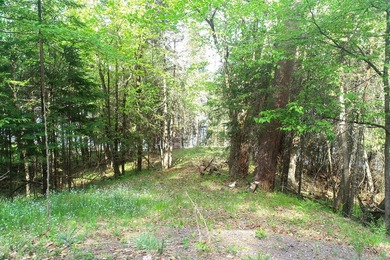 Rare opportunity on the shores of Lake St. Croix, offering the - photo 21