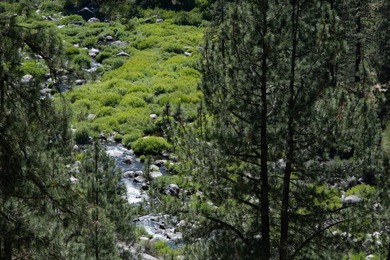 Welcome to The Riverview Retreat at Nakoma, a masterpiece full - photo 35