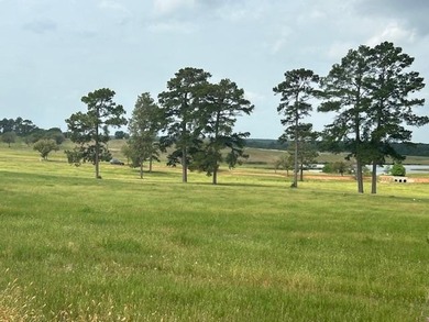 (private lake, pond, creek) Acreage For Sale in Hillister Texas