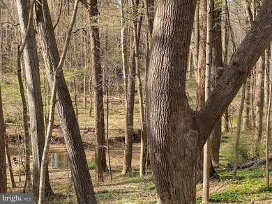 (private lake, pond, coastal) Acreage For Sale in Potomac Maryland