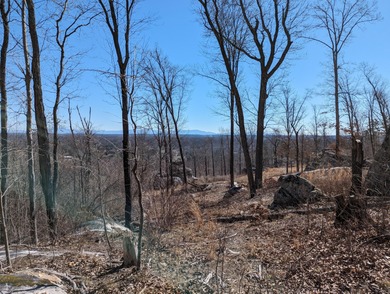 (private lake, pond, creek) Acreage For Sale in Mcdonald Tennessee