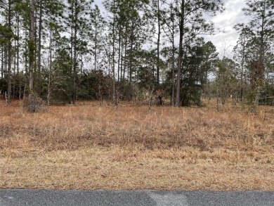 Lake Lot For Sale in Dunnellon, Florida