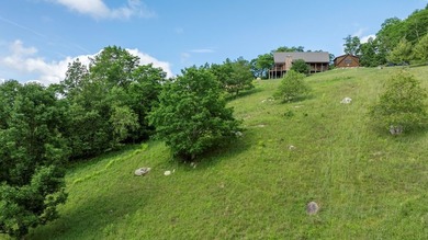 Log Home and Acreage Plus Recreational River Tract w/ 100 Feet - photo 20