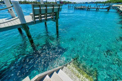 Situated on the southern tip of Jupiter Island in the exclusive - photo 22