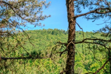 Lake Lot Sale Pending in Mineral Bluff, Georgia