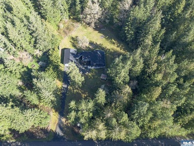 Tucked away privacy with surrounding trees (including fruit - photo 40