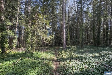 Tucked away privacy with surrounding trees (including fruit - photo 41