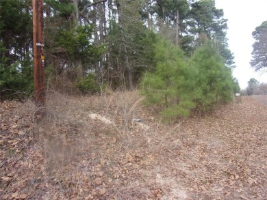 Lake Lot For Sale in Murchison, Texas