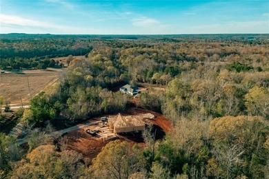 COME BE A PART OF STONE TRACE! Come view this beautiful 4.03 - photo 5