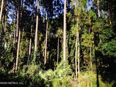This land sits behind the house located at the back of the small - photo 1