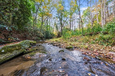Lake Acreage For Sale in Independence, Virginia