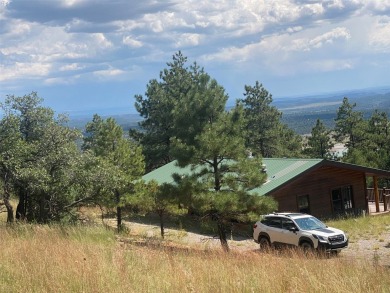 Heron Lake Home For Sale in Los Ojos New Mexico