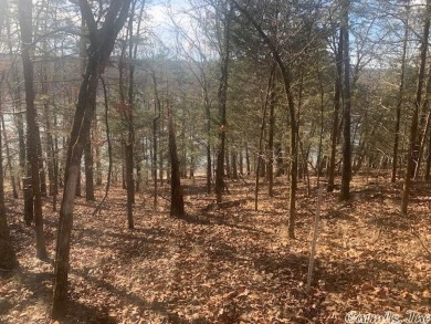 Bull Shoals Lake Lot For Sale in Oakland Arkansas