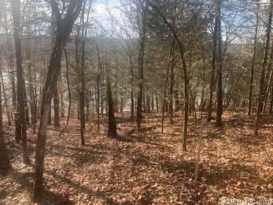 Lake Lot Off Market in Oakland, Arkansas