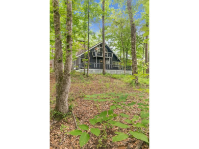 Lake Home For Sale in Abbeville, Alabama